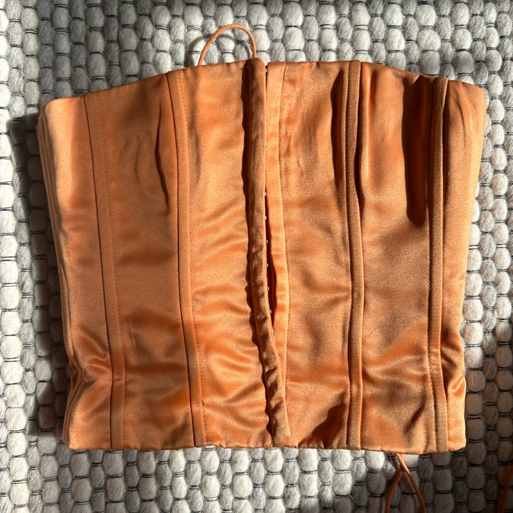 Danielle Guizio Strapless Corset - Sunset Orange - Picture 2 of 5